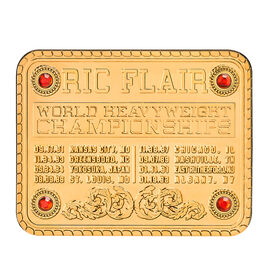 Ric Flair WCW Replica Championship Title Name Plate & Side Plate