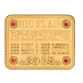 Ric Flair WCW Replica Championship Title Name Plate & Side Plate