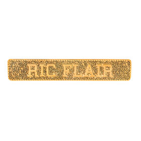 Ric Flair WCW Replica Championship Title Name Plate & Side Plate