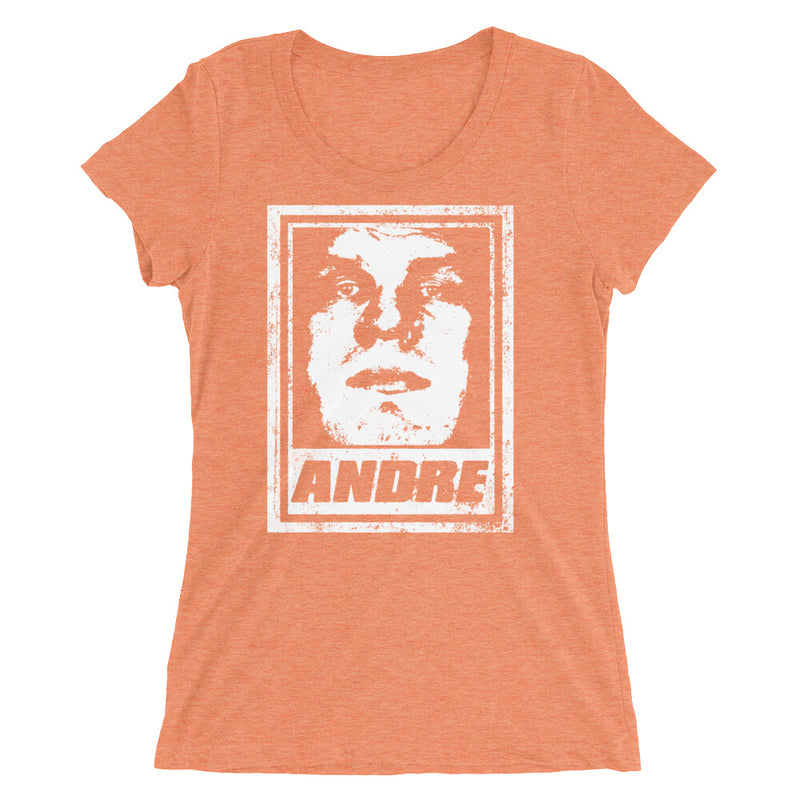 Andre the Giant "Street Art" Women's Tri-Blend T-Shirt T-Shirt PW Catalog