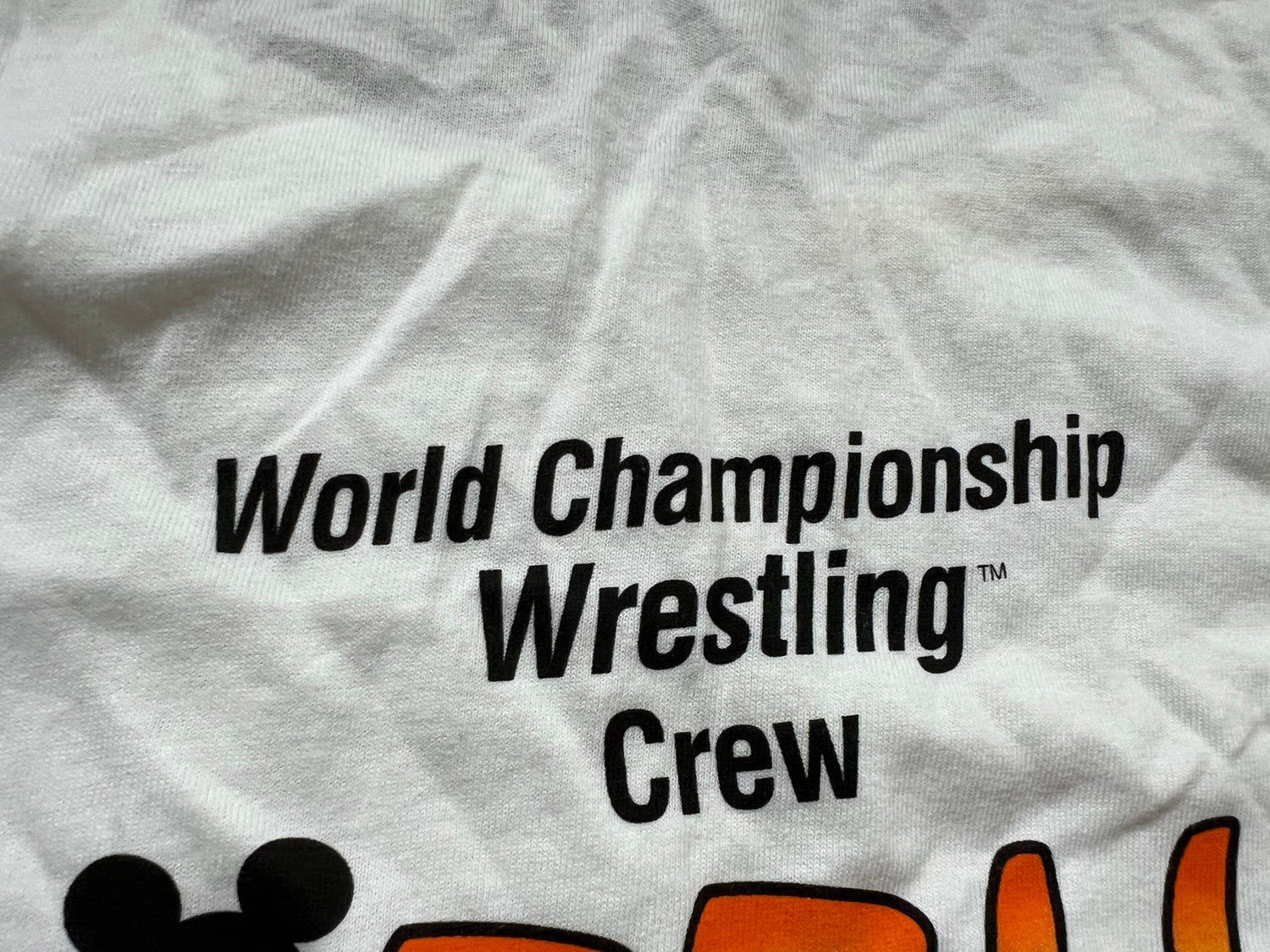 1995 WCW / Disney Studios Sizzlin Summer Tour T-Shirt Pwcatalog