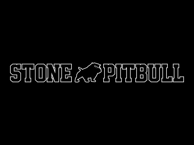 Tomohiro Ishii - Stone Pitbull T-Shirt T-Shirt PW Catalog