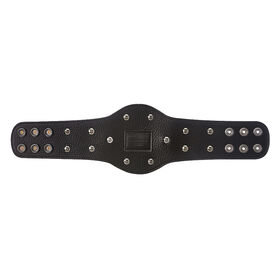 ECW World Heavyweight Championship Mini Replica Title