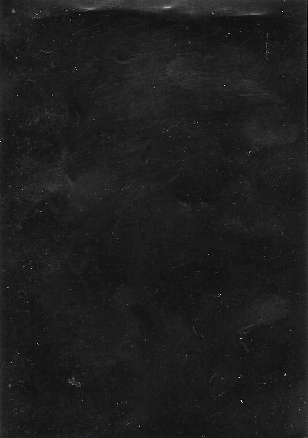 William Reed