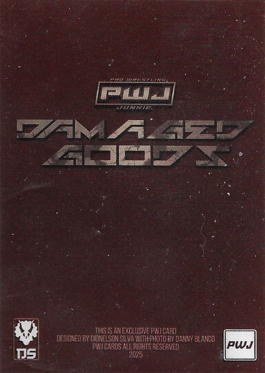 Alan Angels trading card PW Catalog