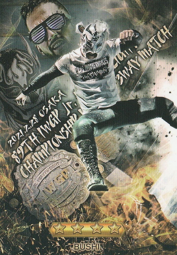 Bushi trading card PW Catalog