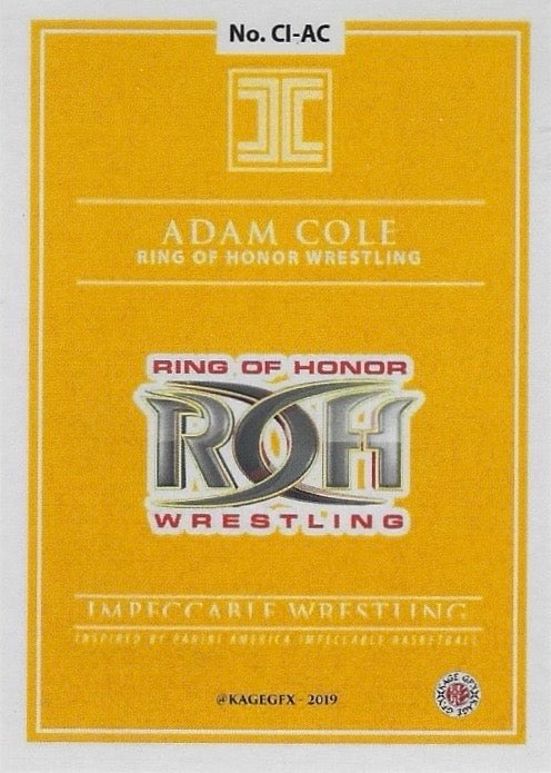 Adam Cole – ROH World Champion