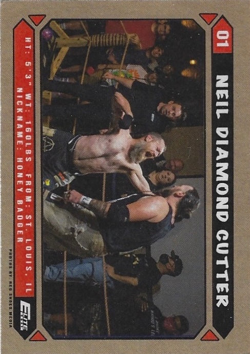 Neil Diamond Cutter