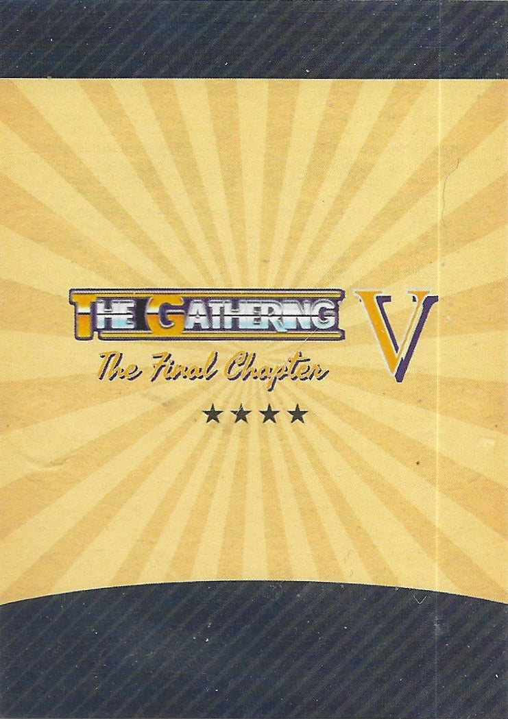 The Gathering V the Final Chapter Official Trading Card Set