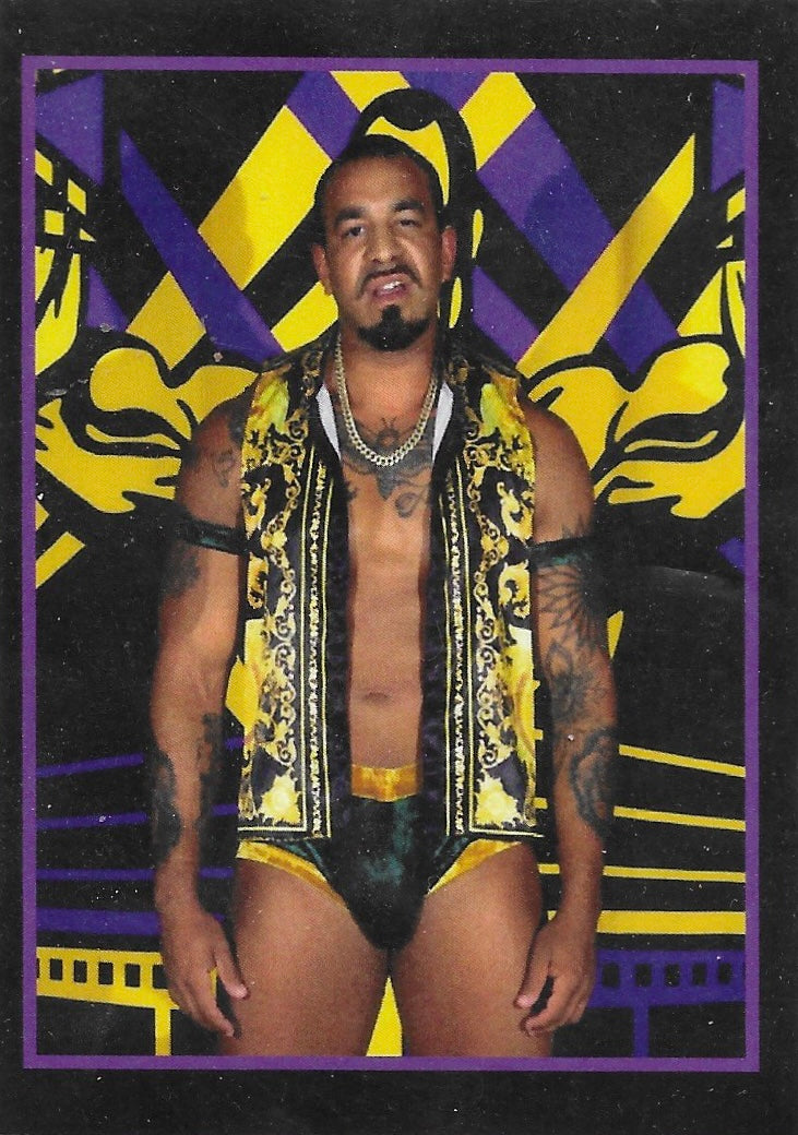 “The H.N.I.C.” Nino Hatchet trading card PW Catalog