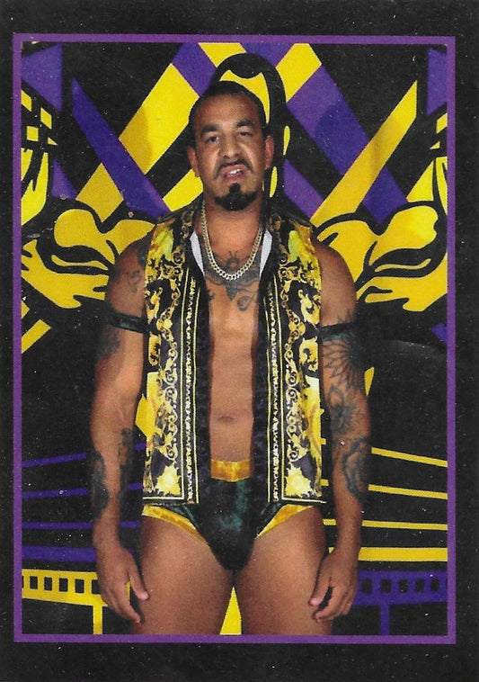 “The H.N.I.C.” Nino Hatchet trading card PW Catalog