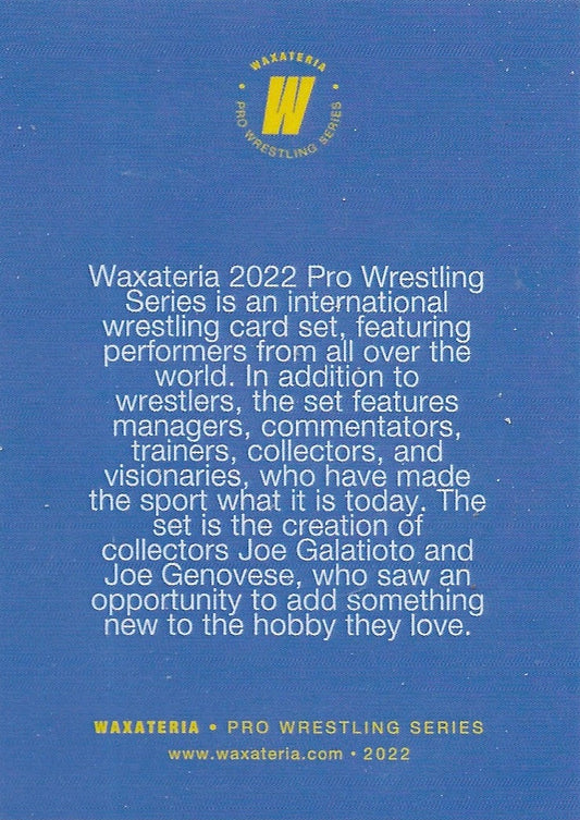 Waxateria Pro Wrestling Series - image 2