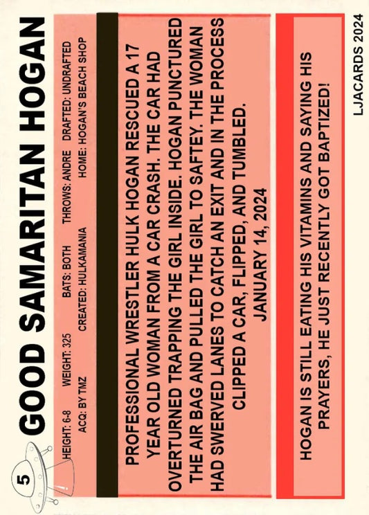 Hulk Hogan Good Samaritan - image 2