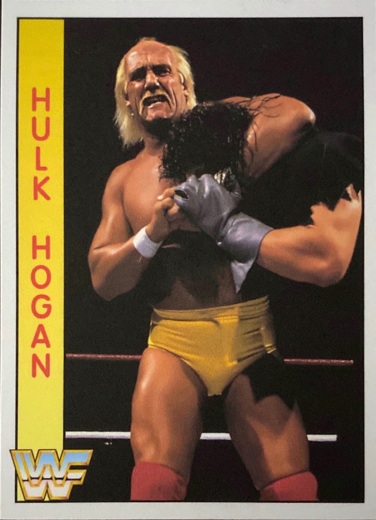 Hulk Hogan