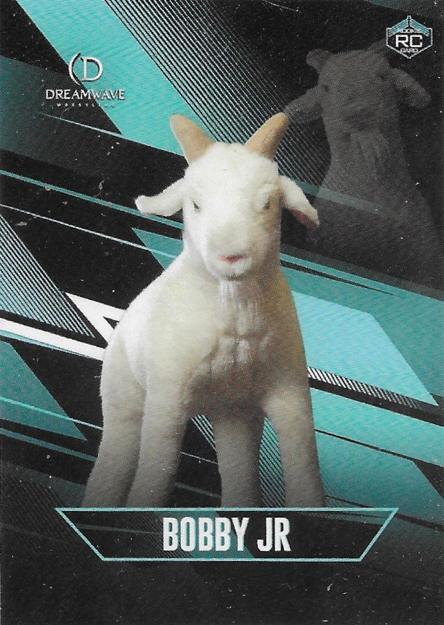 Bobby JR