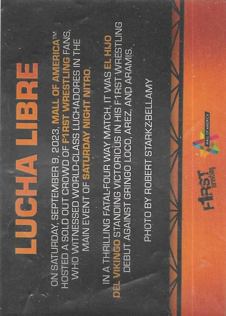 Lucha Libre - image 2
