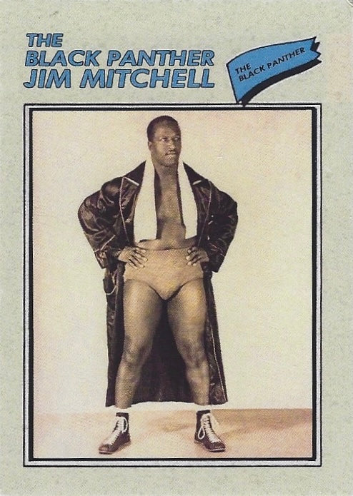 The Black Panther JIM Mitchell