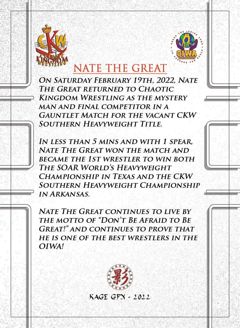 Nate the Great