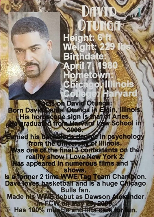 “MR. Physique” David Otunga trading card PW Catalog