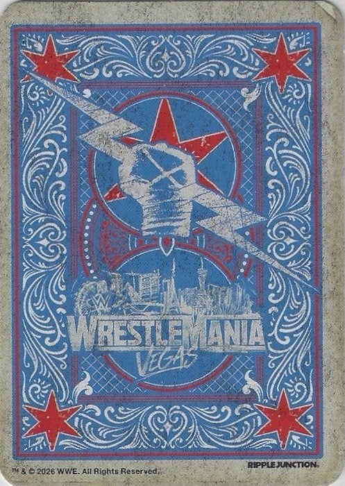 CM Punk trading card PW Catalog