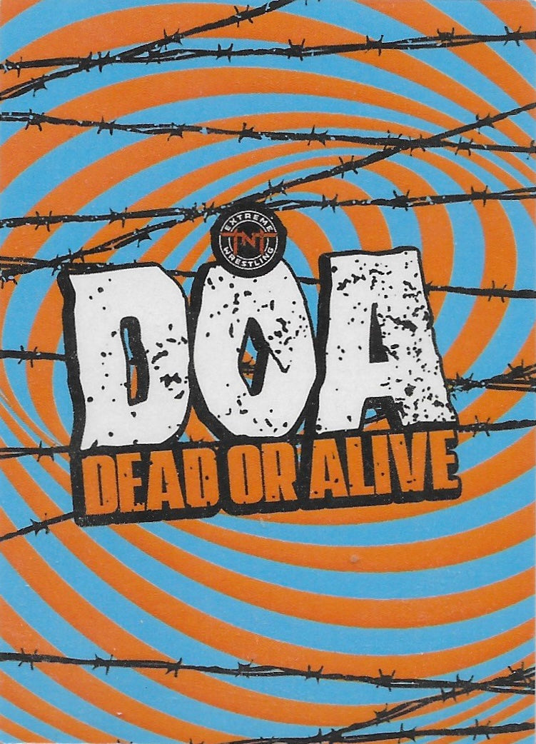 DOA Dead or Alive Ring Action trading card PW Catalog