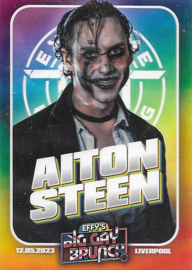 Aiton Steen