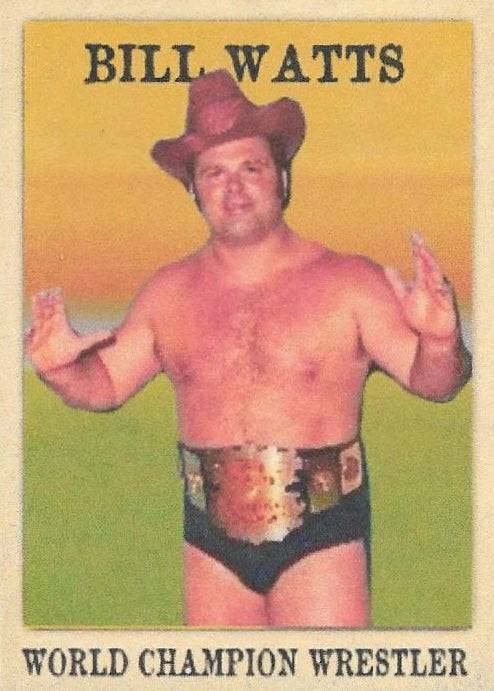 Bill Watts