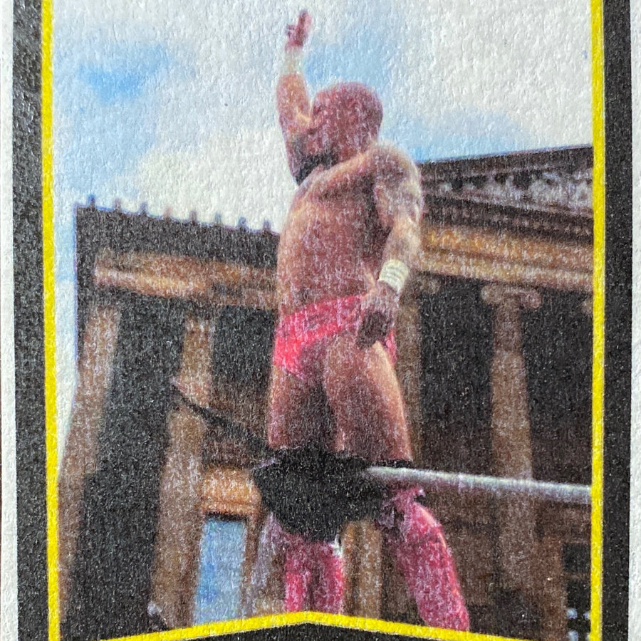 Bubblegum trading card PW Catalog
