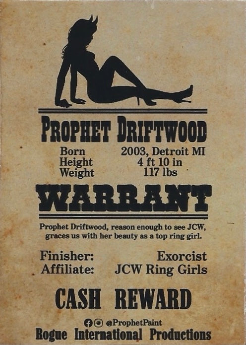 Prophet Driftwood trading card PW Catalog
