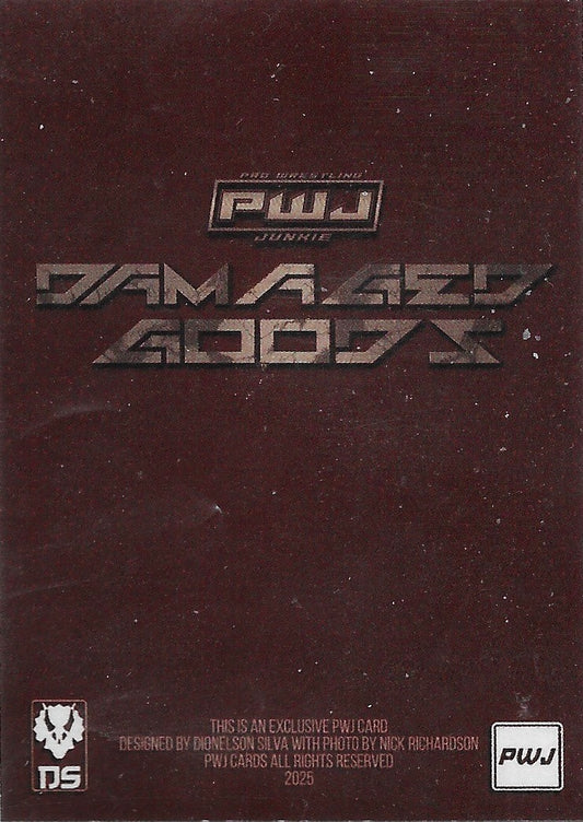 Gabby Forza trading card PW Catalog