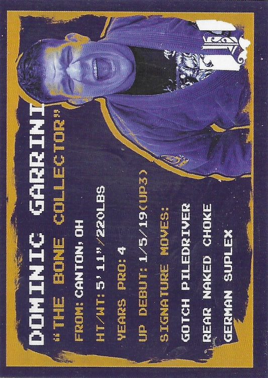 Dominic Garrini trading card PW Catalog
