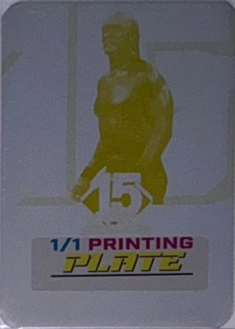 Hulk Hogan