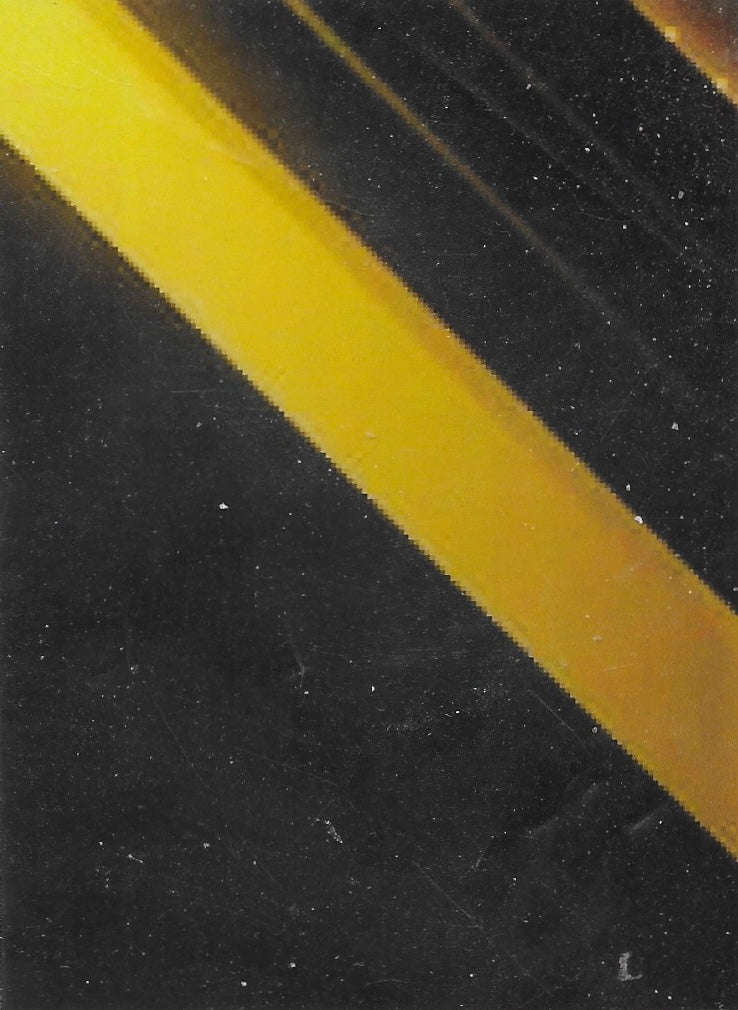 La Jarochita trading card PW Catalog