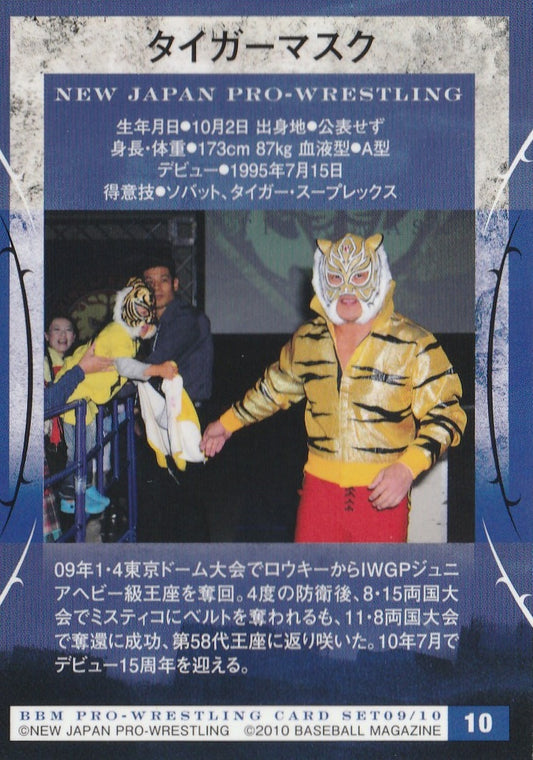 Tiger Mask - image 2
