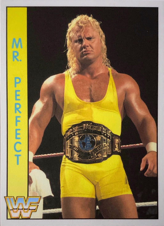 MR. Perfect