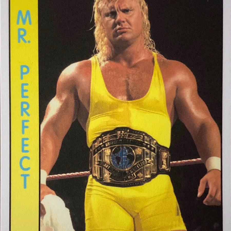 MR. Perfect