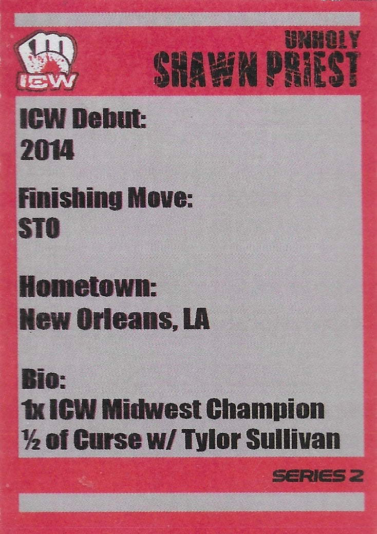 Unholy Shawn Priest - image 2