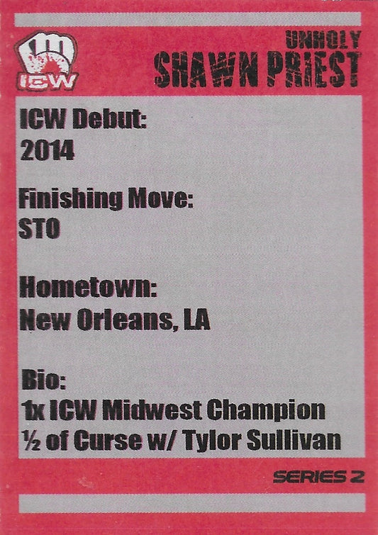 Unholy Shawn Priest - image 2