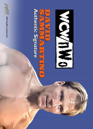 David Sammartino – Wcw/nwo