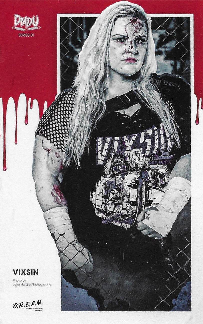 Vixsin trading card PW Catalog