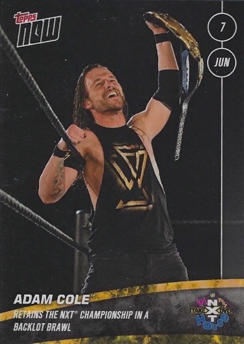 Adam Cole Retains the NXT Championship in a Backlot Brawl trading card PW Catalog