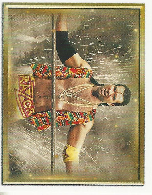 WWE Topps 2018 Stickers Razor Ramon #100