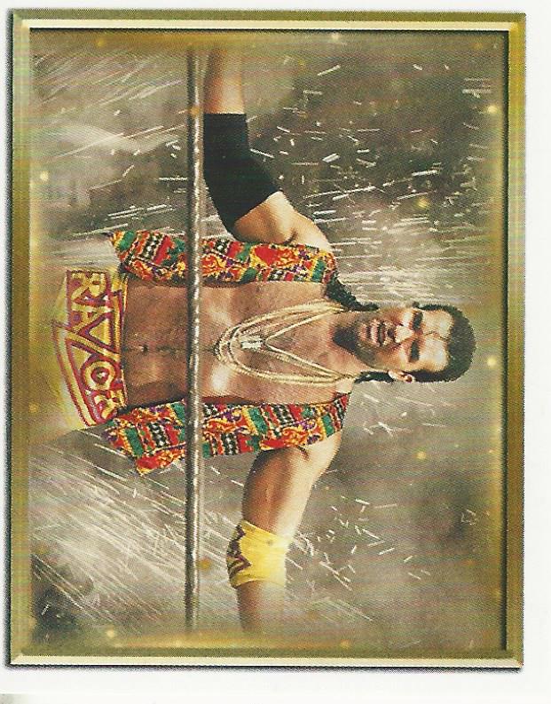 WWE Topps 2018 Stickers Razor Ramon #100