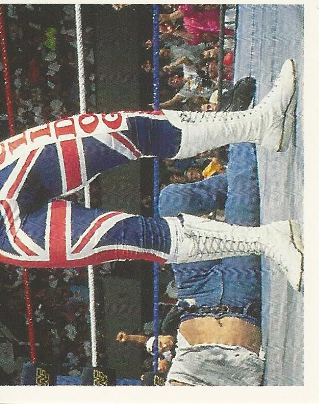 WWF Merlin Stickers 1991 British Bulldog #100