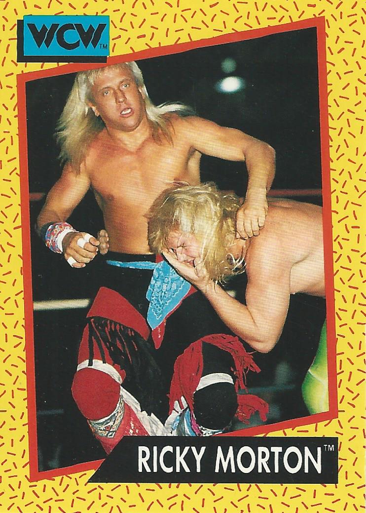 WCW Impel 1991 Ricky Morton #100
