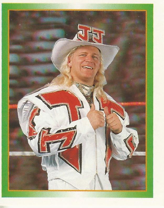 WWF Merlin Stickers 1995 Jeff Jarrett #100