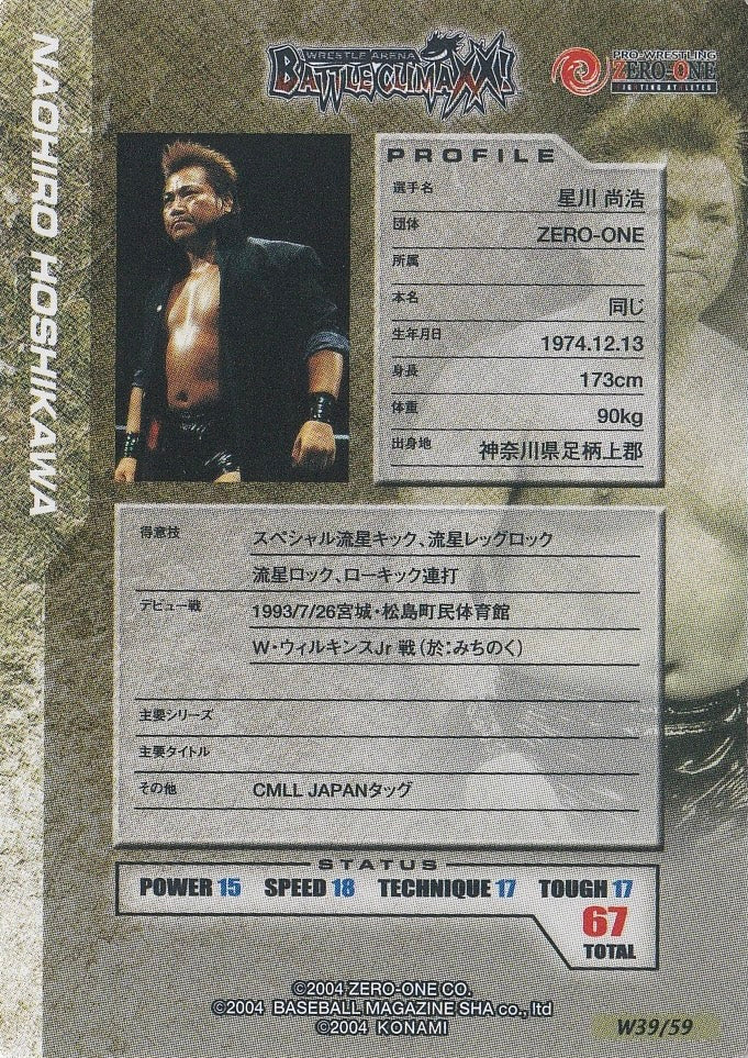 Naohiro Hoshikawa - image 2
