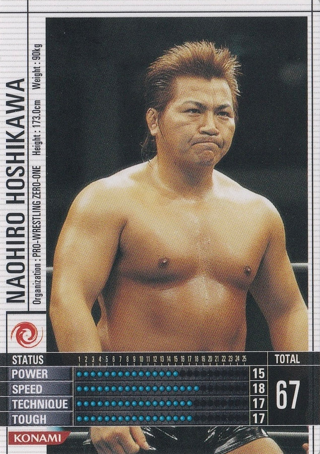 Naohiro Hoshikawa