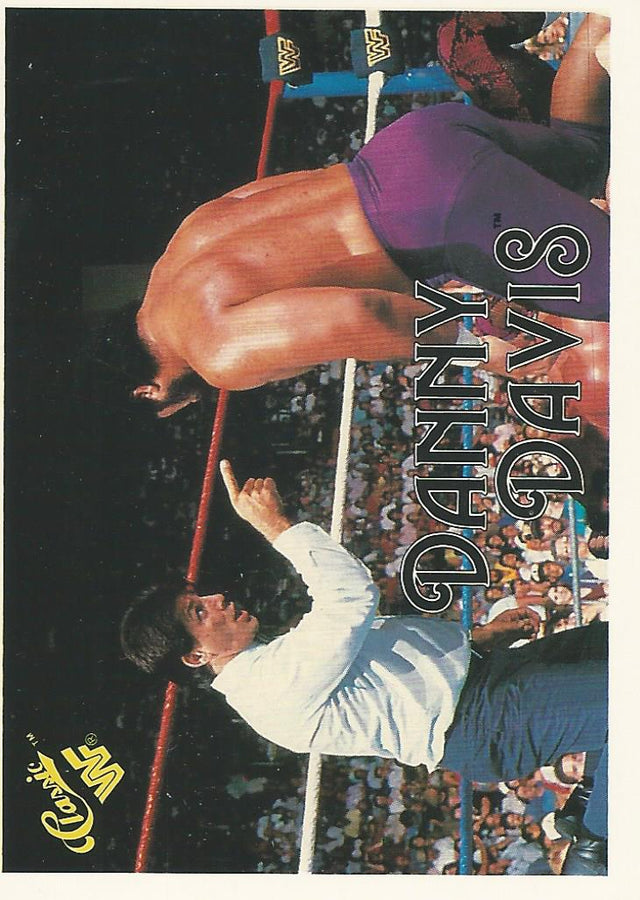 WWF Classic Trading Cards 1990 Danny Davis #101