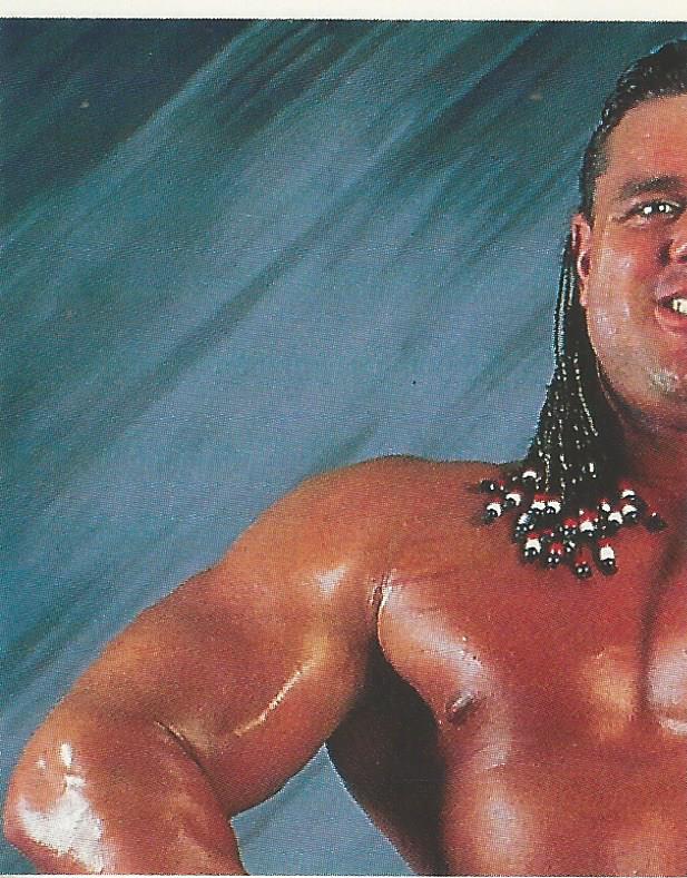 WWF Merlin Stickers 1991 British Bulldog #101